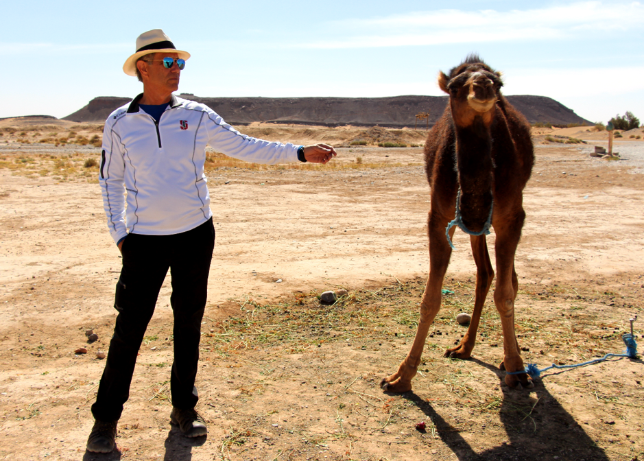 Steve and Camel